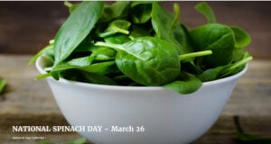 In 1960 The Cartoon Series “Popeye The Sailor” Airs On Television, Encouraging Kids To Eat More Spinach For Super Strength.