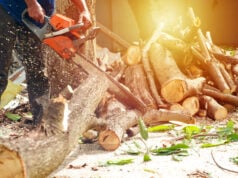 Which Battery Chainsaw Is Best for Cutting Firewood at Home? https://www.vecteezy.com/photo/2381332-hands-of-worker-cutting-the-log-by-chainsaw-machine-with-sawdust-splashing-around-motion-blurred-of-sawing-chainsaw
