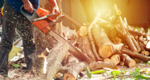 https://www.vecteezy.com/photo/2381332-hands-of-worker-cutting-the-log-by-chainsaw-machine-with-sawdust-splashing-around-motion-blurred-of-sawing-chainsaw
