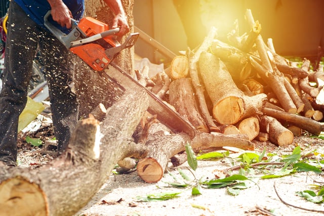 https://www.vecteezy.com/photo/2381332-hands-of-worker-cutting-the-log-by-chainsaw-machine-with-sawdust-splashing-around-motion-blurred-of-sawing-chainsaw