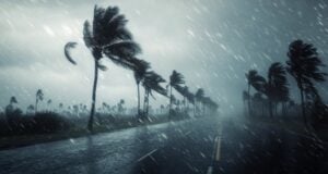 https://www.vecteezy.com/photo/51103203-stormy-weather-brings-heavy-rain-and-strong-winds-along-a-coastal-road-lined-with-palm-trees