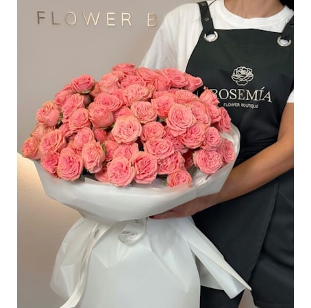 4VOeQ6LDSeJwqxc2UiDycJklQUkSgyEDSjC3rpqC