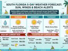 South Florida Outlook: Radiant Sun and Brisk Winds Dominate the Upcoming Week