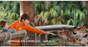 In 1910, The St. Louis Zoo Became The First Zoo To Provide Free Admission. It Set A Precedent For Public Accessibility To Wildlife Education