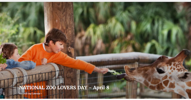 Zoo lovers