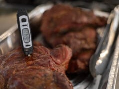https://www.magnific.com/premium-photo/bbq-roast-pork-prepared-grill-smoker-temperature-measurement_183727383.htm#fromView=search&page=1&position=12&uuid=921b47df-88a5-4ce2-a052-847bc42b8534&query=check+meat+thermometer
