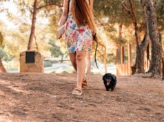 ER Visits for Tick Bites Highest in Over a Decade. How to Protect Yourself https://www.magnific.com/free-photo/low-section-view-woman-walking-with-her-dog-park_2804324.htm#fromView=search&page=1&position=7&uuid=64836cf2-b416-49c6-a356-2388b22cac3c&query=summer+time+walking+along+a+tail