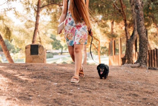 https://www.magnific.com/free-photo/low-section-view-woman-walking-with-her-dog-park_2804324.htm#fromView=search&page=1&position=7&uuid=64836cf2-b416-49c6-a356-2388b22cac3c&query=summer+time+walking+along+a+tail