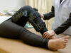 https://www.magnific.com/premium-photo/physiotherapist-stretch-exercises-patient-s-leg-rehabilitation-knee-injury_2182078.htm#from_element=cross_selling__photo