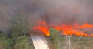 Florida Cabinet Officers Give Warning As Peak Wildfire Season Is Only Beginning