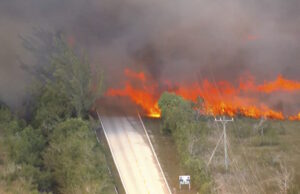 Florida Cabinet Officers Give Warning As Peak Wildfire Season Is Only Beginning