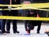 Checkpoint Gunfire Triggers White House Lockdown: Gunman With Obsessive History Killed (Video)