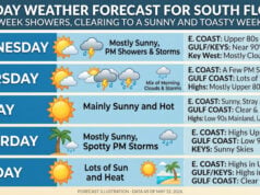 South Florida Sizzles as Midweek Storms Give Way to a Sun-Drenched and Toasty Weekend Outlook