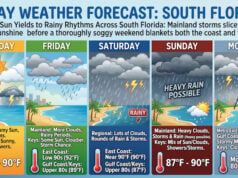 Steamy Sun Yields to Rainy Rhythms Across South Florida