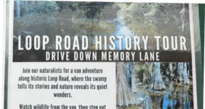 Can You Walk Through The Everglades?
