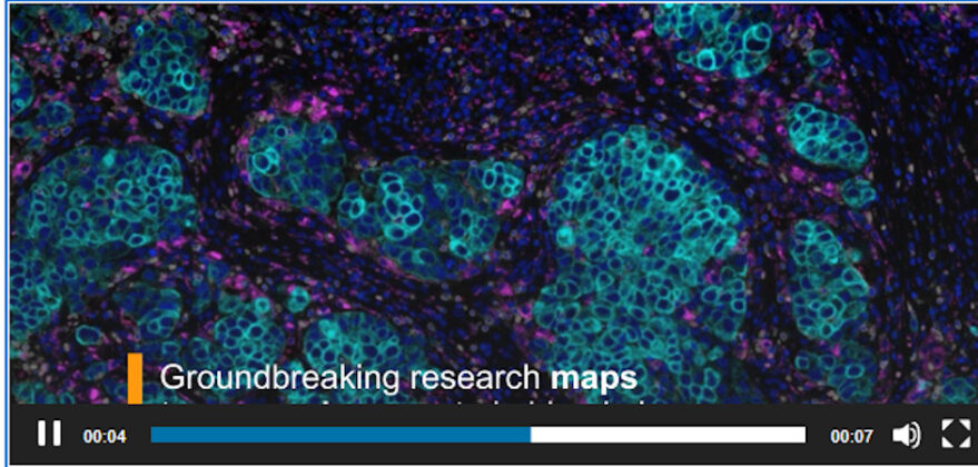 Mayo Clinic And Stanford Researchers Develop First Blood Test To Map ...