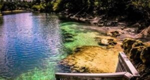 The Suwannee River: Vibrant History And Location