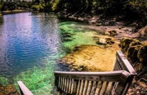 The Suwannee River: Vibrant History And Location