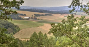 Oregon’s Chardonnay Evolution