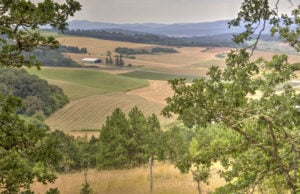 Oregon’s Chardonnay Evolution