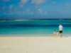 Discover the 12 Best Beaches in Florida for Families