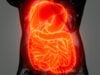 https://www.vecteezy.com/photo/5856349-detailed-human-digestive-system-anatomy