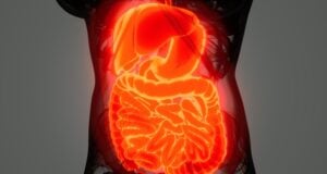 https://www.vecteezy.com/photo/5856349-detailed-human-digestive-system-anatomy