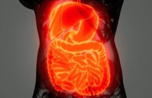 Peptides for Gut Health: Therapy for Stomach Issues and Inflammation https://www.vecteezy.com/photo/5856349-detailed-human-digestive-system-anatomy