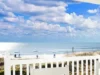 The Best Beach In North Florida For Shelling: Amelia Island
