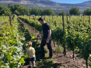 https://www.domainestlaurent.com/about