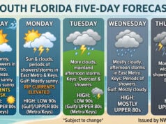Sunny Sunday Gives Way to Increasing Clouds and Midweek Showers