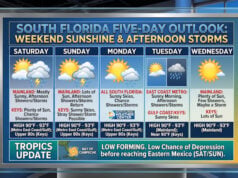 South Florida Weekend Sunshine Meets Afternoon Storms As Tropics Stay Quiet
