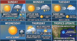 South Florida To Experience Typical Summer Heat And Showers As Tropical Disturbance Heads Toward Texas