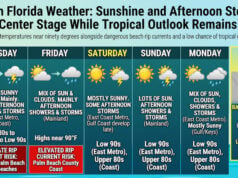 Sunshine and Afternoon Storms Take Center Stage While Tropical Outlook Begins (Tropic Video)