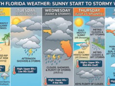 Sunny Start Gives Way to Rainy Week Ahead