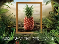 This Pineapple Costs Nearly $400, and People Are Actually Buying It https://freshdelmonte.com/rubyglow/