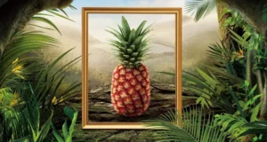 This Pineapple Costs Nearly $400, and People Are Actually Buying It https://freshdelmonte.com/rubyglow/