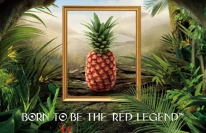 This Pineapple Costs Nearly $400, and People Are Actually Buying It https://freshdelmonte.com/rubyglow/
