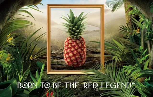 Rubyglow https://freshdelmonte.com/rubyglow/