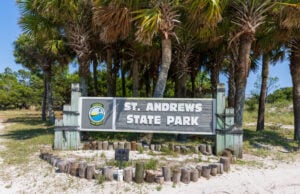 The Science and Soul of the Sand