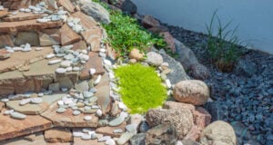 https://www.magnific.com/premium-photo/construction-big-round-garden-alpine-slide-with-stones-dwarf-conifers-circular-walking-path_29286634.htm#fromView=search&page=1&position=43&uuid=7760f0e4-a338-4c74-9536-3b6805e34141&query=coastal+landscaping