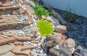 How to Design a Landscape That Survives Salt Air With Michael Forness of New Smyrna https://www.magnific.com/premium-photo/construction-big-round-garden-alpine-slide-with-stones-dwarf-conifers-circular-walking-path_29286634.htm#fromView=search&page=1&position=43&uuid=7760f0e4-a338-4c74-9536-3b6805e34141&query=coastal+landscaping