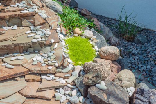 https://www.magnific.com/premium-photo/construction-big-round-garden-alpine-slide-with-stones-dwarf-conifers-circular-walking-path_29286634.htm#fromView=search&page=1&position=43&uuid=7760f0e4-a338-4c74-9536-3b6805e34141&query=coastal+landscaping