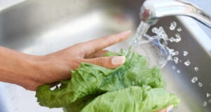 https://www.magnific.com/premium-photo/woman-hands-washing-lettuce-water-sink-fresh-produce-natural-vegetables-health-kitchen-home-closeup-female-person-vegan-rinsing-organic-vegetable-salad-preparation_128811347.htm#fromView=search&page=1&position=11&uuid=ac2c87b1-e1a0-4b09-a8ae-8342d4567d43&query=washing+lettuce
