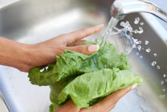 https://www.magnific.com/premium-photo/woman-hands-washing-lettuce-water-sink-fresh-produce-natural-vegetables-health-kitchen-home-closeup-female-person-vegan-rinsing-organic-vegetable-salad-preparation_128811347.htm#fromView=search&page=1&position=11&uuid=ac2c87b1-e1a0-4b09-a8ae-8342d4567d43&query=washing+lettuce