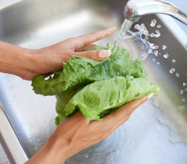 254133 https://www.magnific.com/premium-photo/woman-hands-washing-lettuce-water-sink-fresh-produce-natural-vegetables-health-kitchen-home-closeup-female-person-vegan-rinsing-organic-vegetable-salad-preparation_128811347.htm#fromView=search&page=1&position=11&uuid=ac2c87b1-e1a0-4b09-a8ae-8342d4567d43&query=washing+lettuce