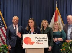 FDA Lowers Orange Juice Sugar Standard — Officials Say It Will Boost Florida Citrus (Video)