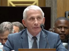 Fauci Refuses Answers in Contentious Senate COVID Hearing, Invoking Fifth Amendment Over 100 Times (Video)