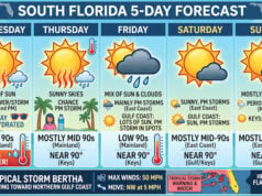 High Heat and Scattered Storms Ahead for South Florida as Tropical Storm Bertha Tracks Across the Northern Gulf Coast