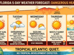 South Florida Sizzles Under Dangerous July Heat Wave